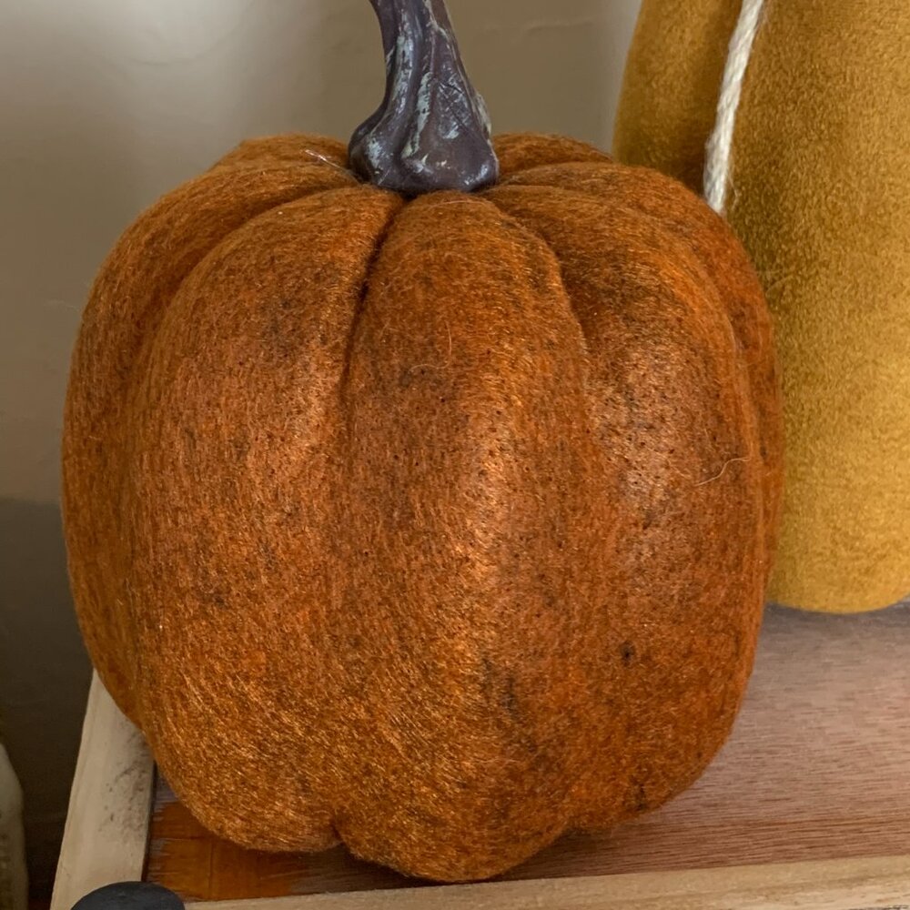Fall/Thanksgiving Rustic Pumpkin Decor - Picture 7 of 8